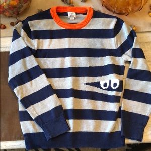 Boy’s Fun Gap Sweater